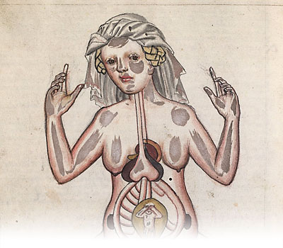 Medical illustration
